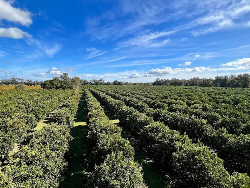 Chestnut Grove Wines winery in WA