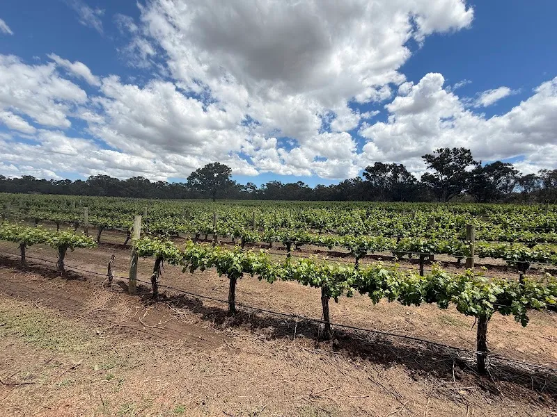 Vasse winery in WA