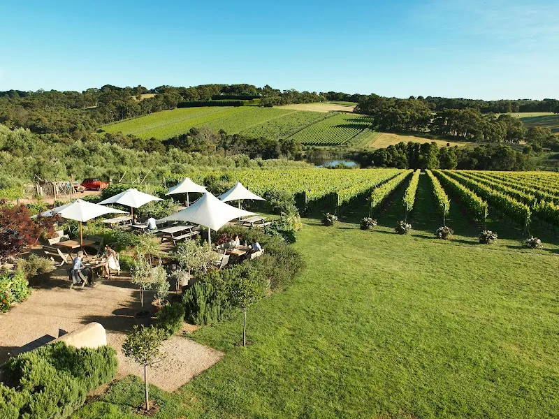 Montalto winery in Red Hill South, VIC