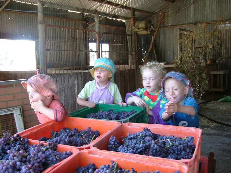 Tyler's Vineyard winery in WA