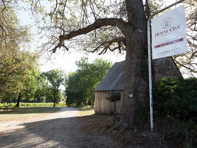 Lentedal Vineyard winery in WA