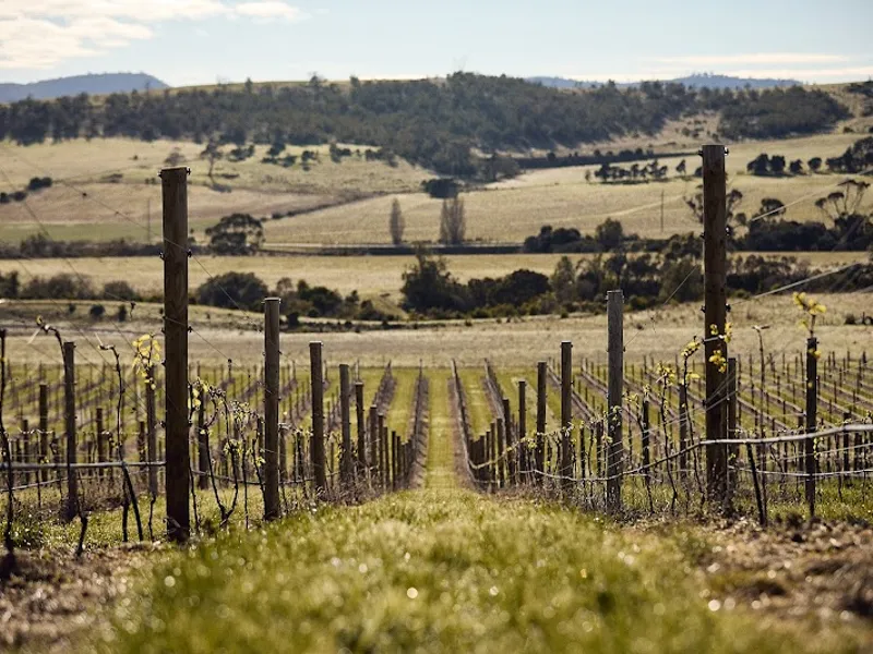 House of Arras winery in Pipers River, TAS