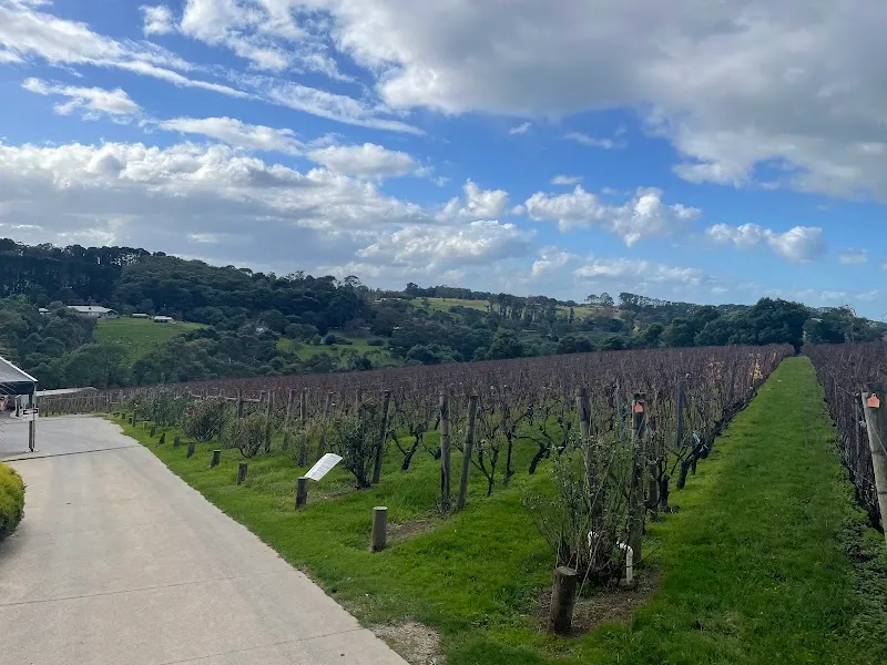 Paringa Estate winery in Red Hill South, VIC