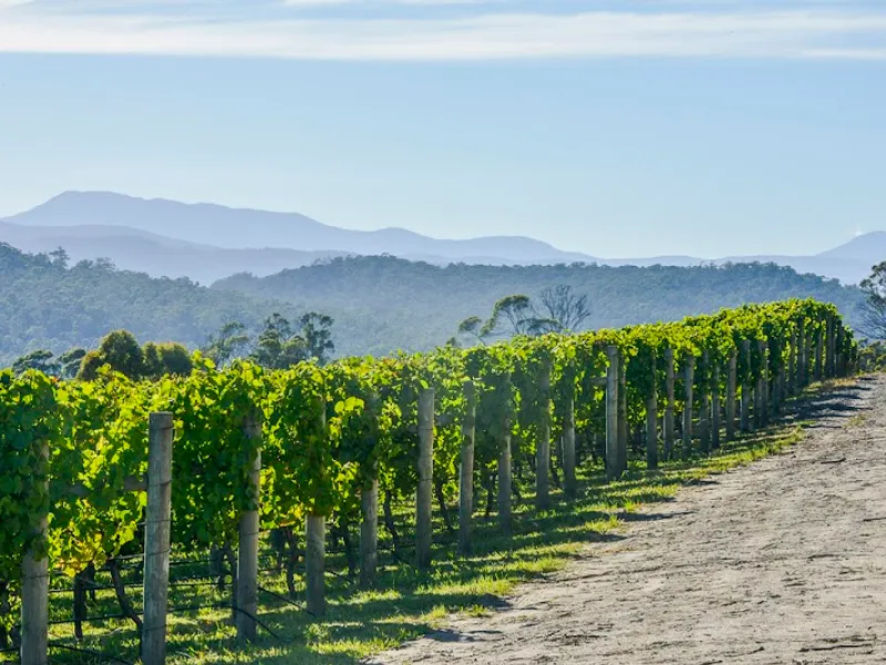 Dalrymple Vineyards winery in Pipers Brook, TAS
