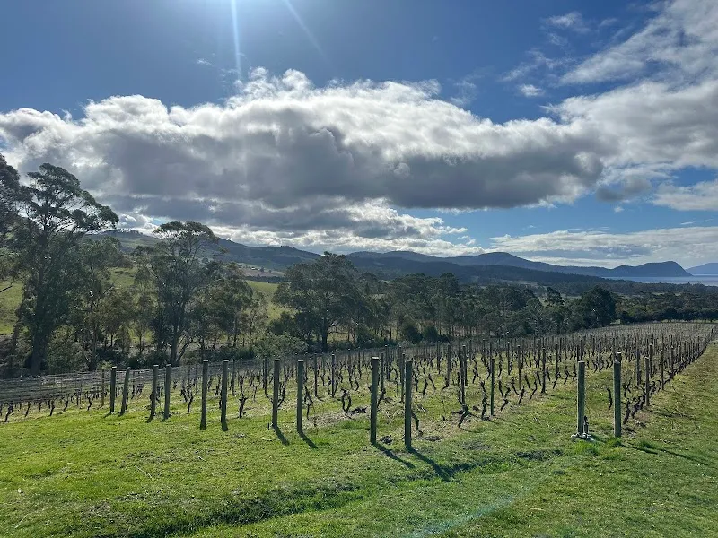 Utzinger winery in Legana, TAS