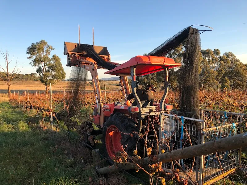 Delamere Vineyards winery in Pipers Brook, TAS