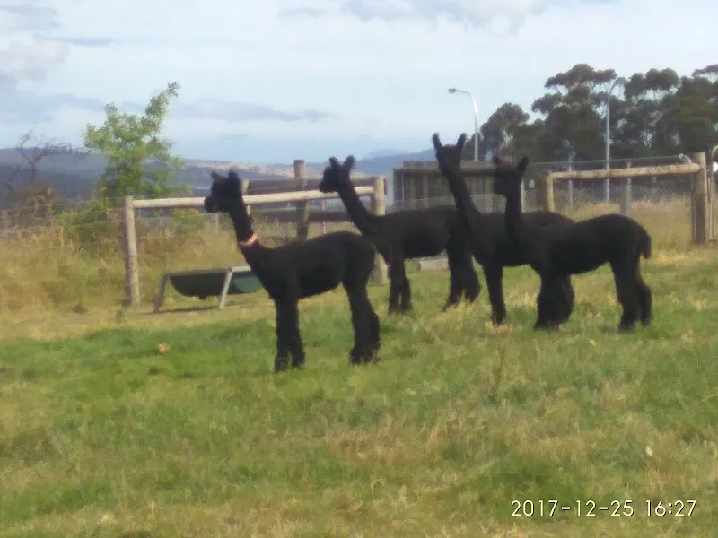 Henskens Rankin of Tasmania winery in Ranelagh, TAS