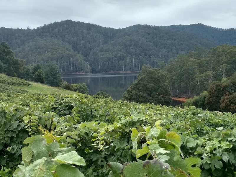 Kinvarra Estate winery in Plenty, TAS