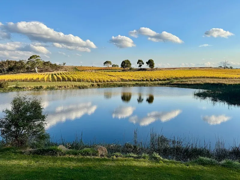 Bruny Island Wines winery in Lunawanna, TAS