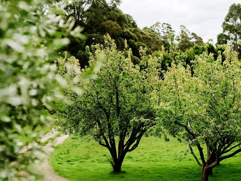 Sugarloaf Ridge winery in Carlton River, TAS