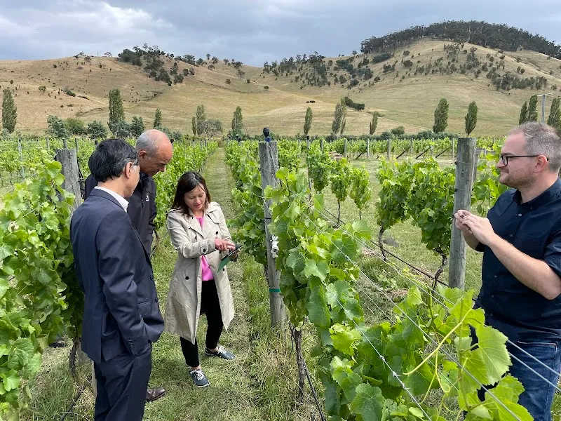 Glaetzer-Dixon Family Winemakers winery in Hobart, TAS