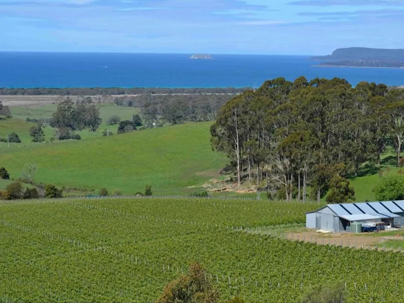 Vintner's Nest Wines winery in Rowella, TAS