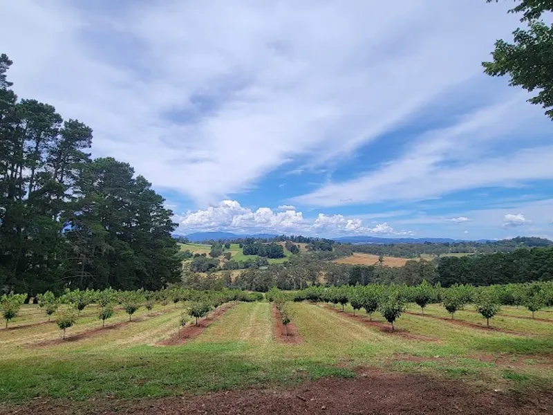 Oyster Cove Vineyard winery in Oyster Cove, TAS