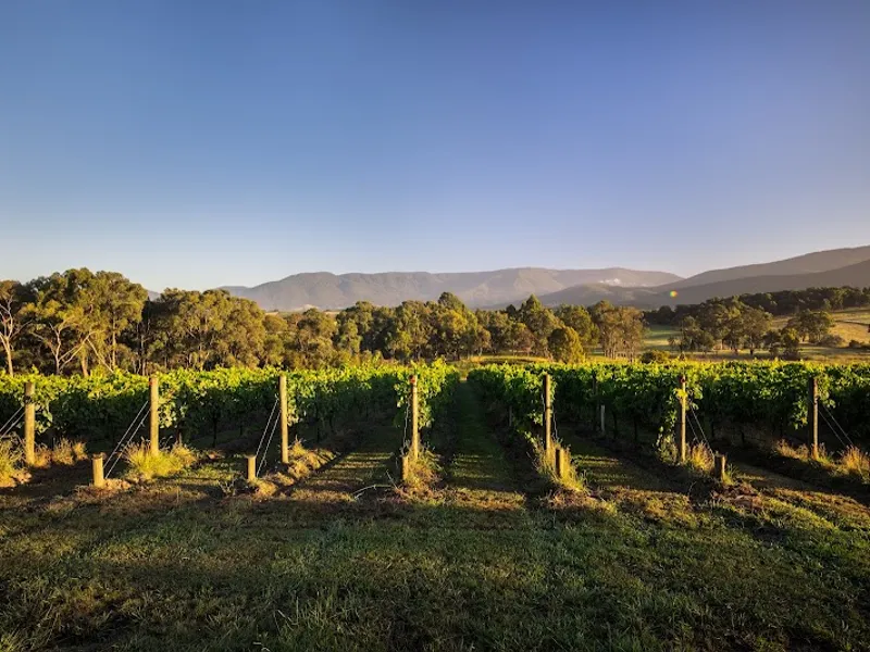 Glendale Estate winery in Sidmouth, TAS