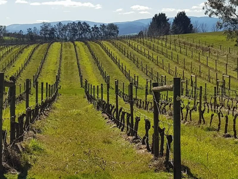 Warramunda Estate winery in Coldstream, VIC