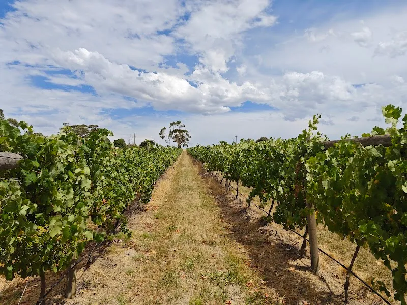 Mount Mary winery in Lilydale, VIC