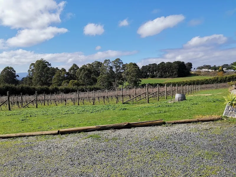 Chandon Australia winery in Coldstream, VIC