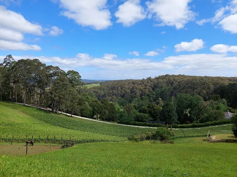 Toolangi winery in Coldstream, VIC