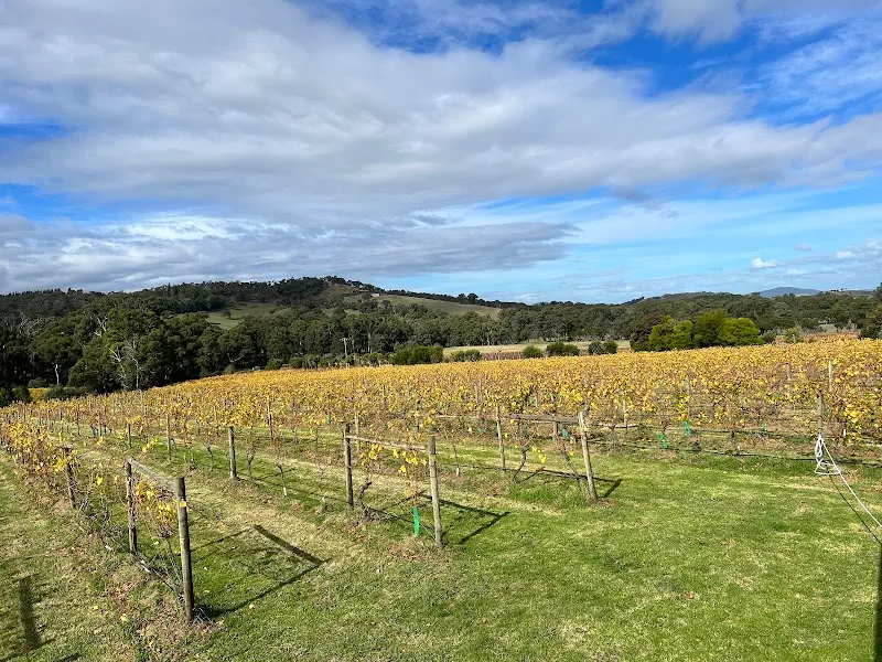 Rob Dolan Wines winery in South Warrandyte, VIC