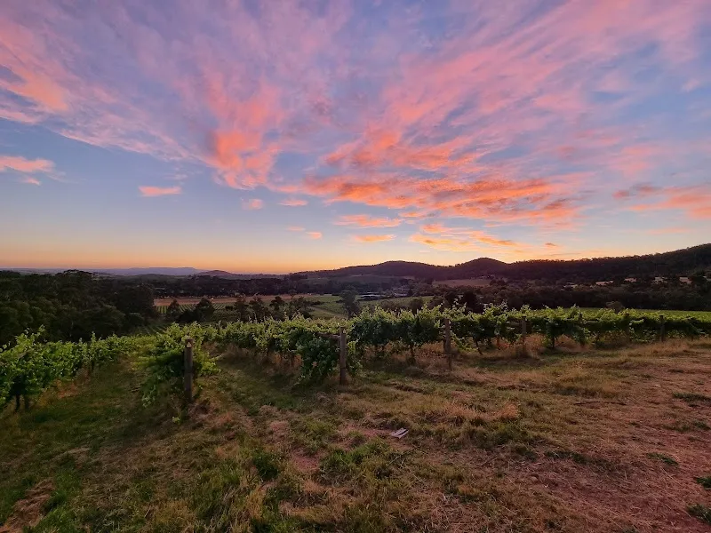Squitchy Lane Vineyard winery in Gruyere, VIC