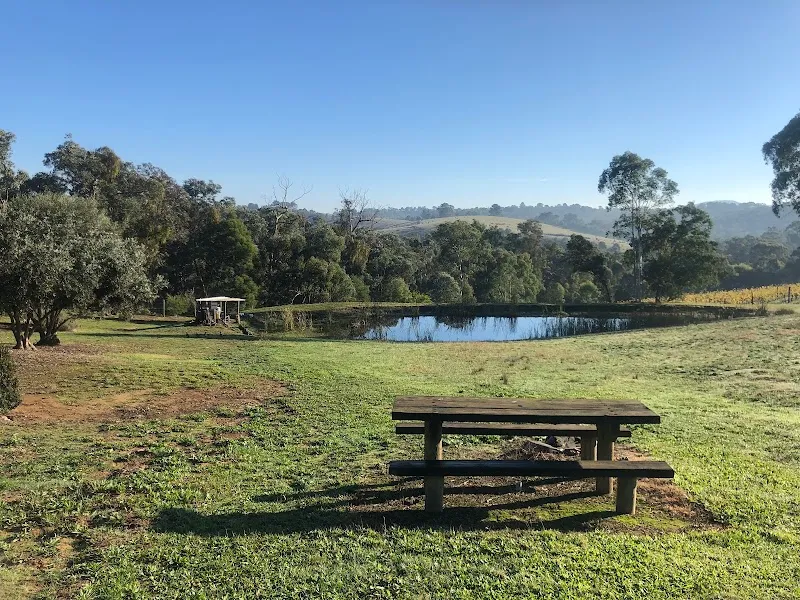 Yering Farm winery in Yering, VIC