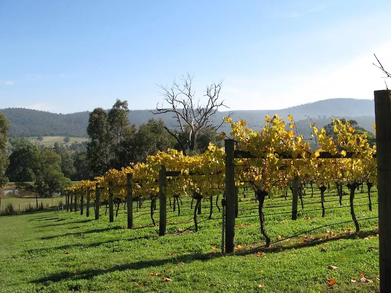 Yarra Park Vineyard winery in Yering, VIC