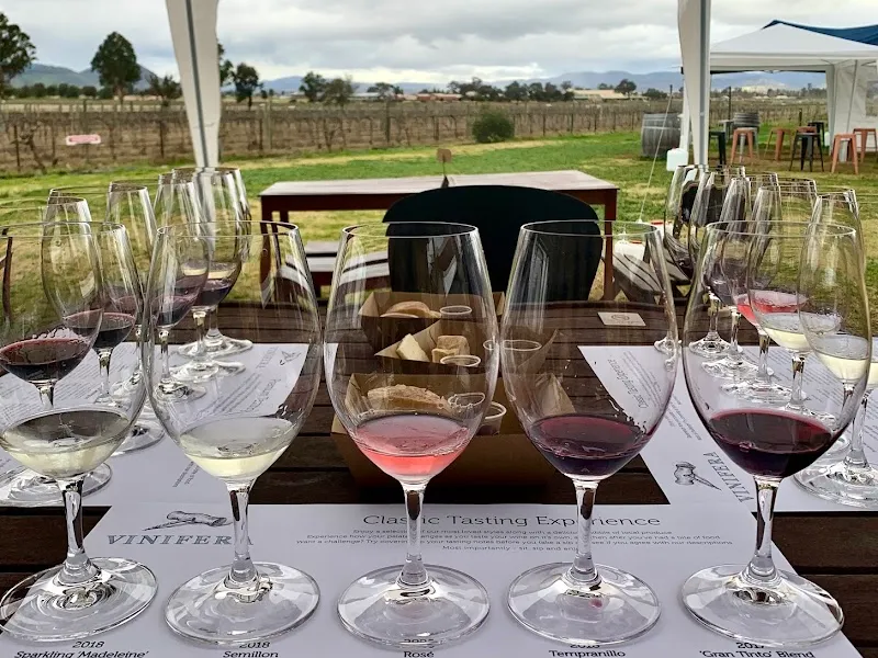 Trellis winery in Healesville, VIC