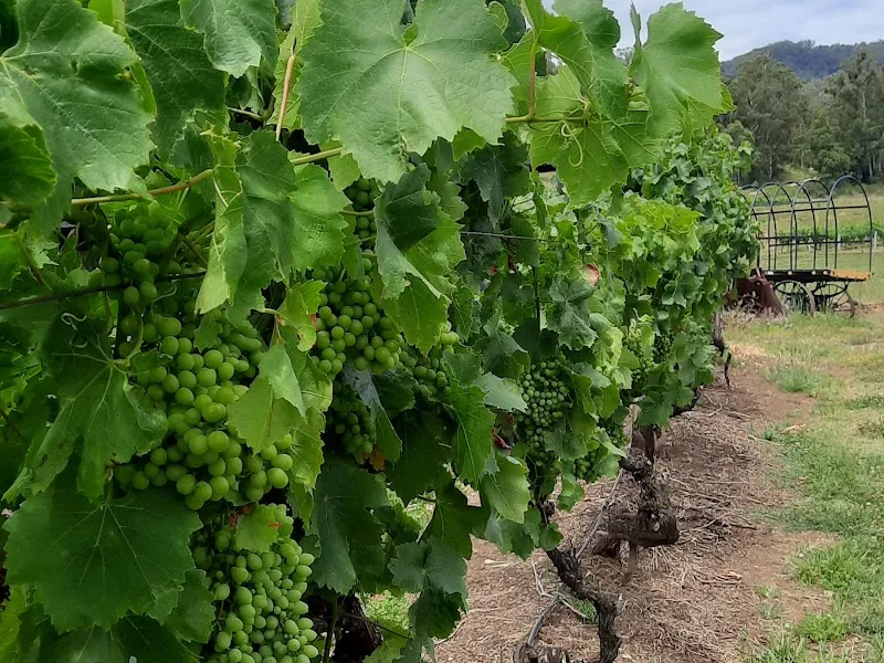 Skimstone winery in Apple Tree Flat, NSW