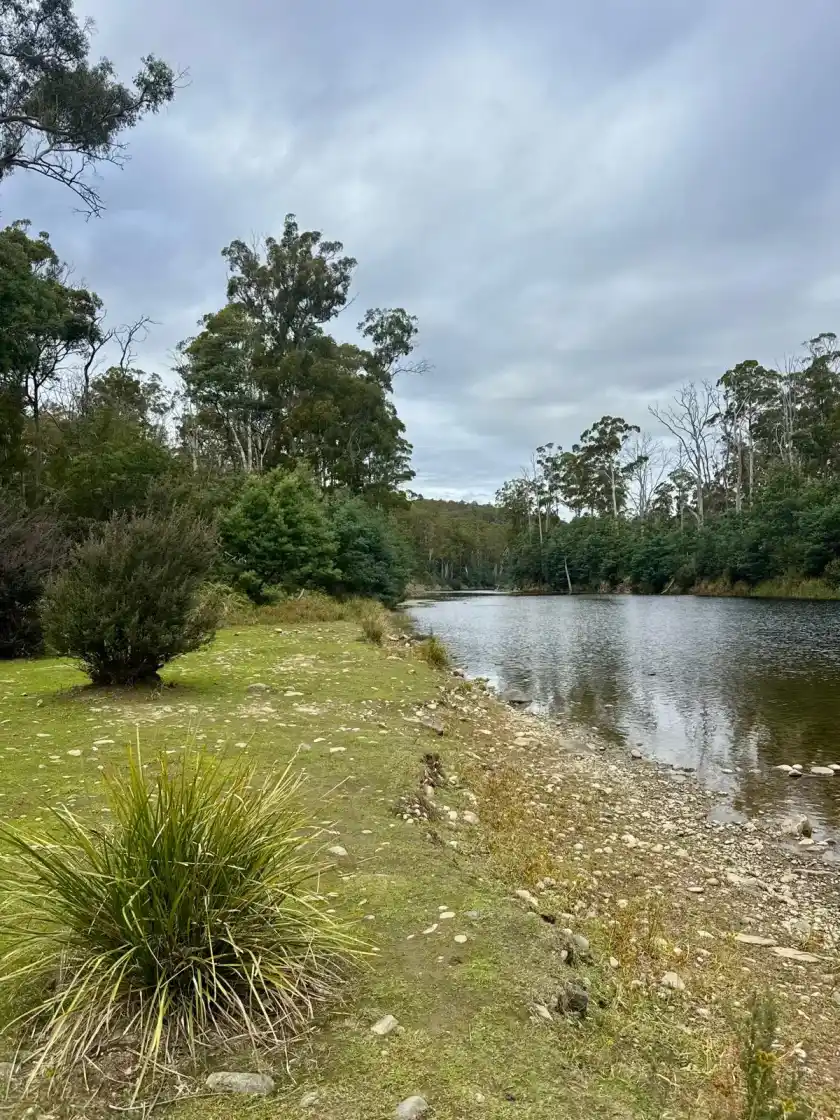 Mersey River with native forest backdrop near Warrawee