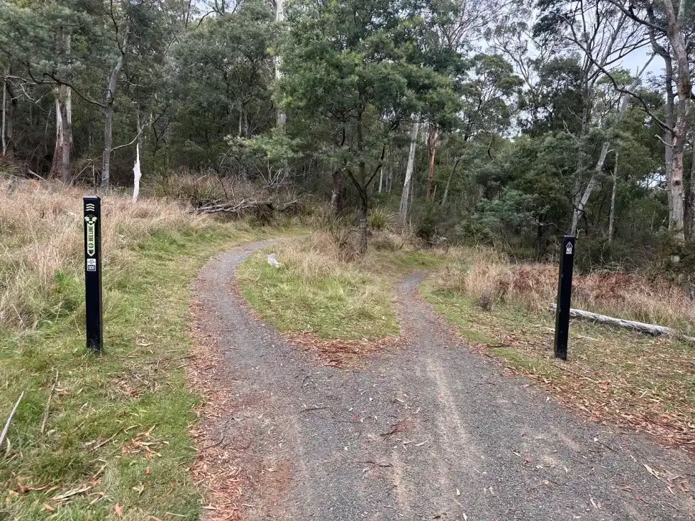 Trail junction with direction markers in Warrawee Forest